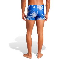 adidas Bañador bóxer Graphic