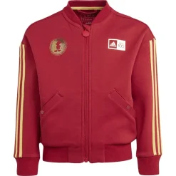 adidas Chaqueta Disney 100