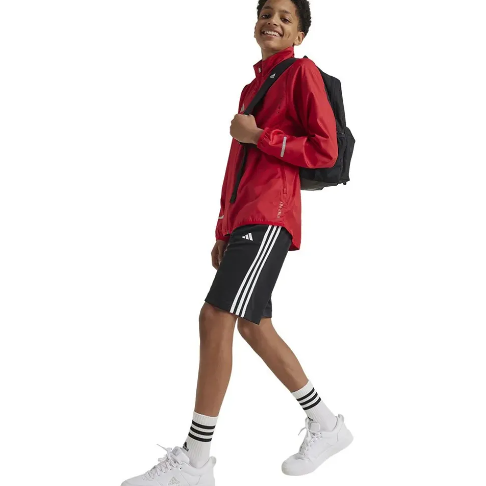 adidas Chaqueta Team Wind.Rdy