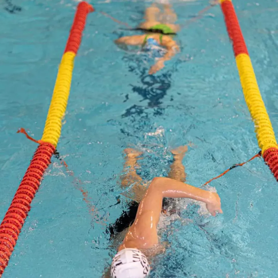 Buddyswim Cinturón de carril de natación estacionario