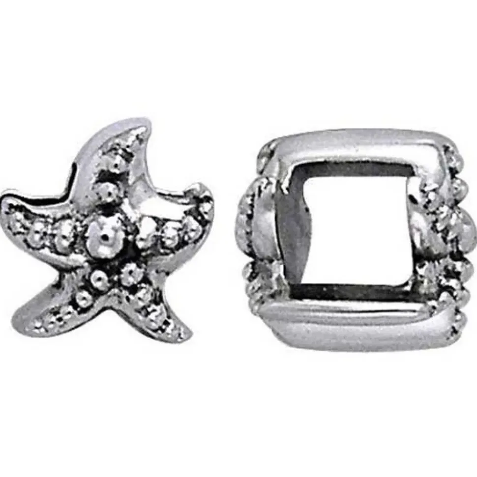 Dive Silver Cuenta Starifsh
