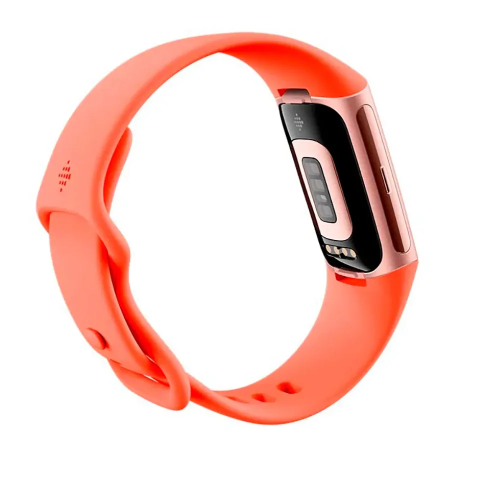 Fitbit Smartwatch Charge 6
