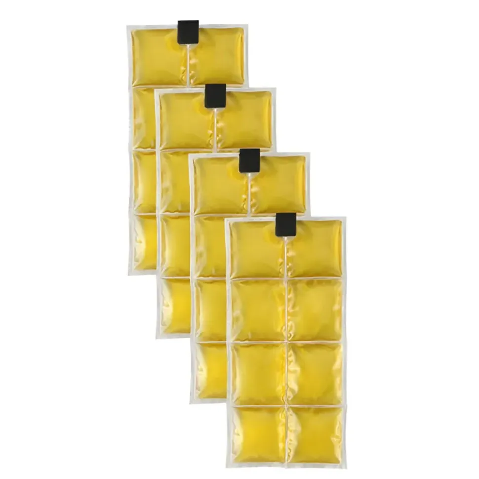 Inuteq Nevera portátil Coolpac 21˚C/70˚F 8 Cells 4 piezas