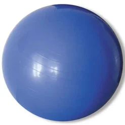 Ology Pelota