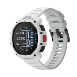 Polar Reloj Street X