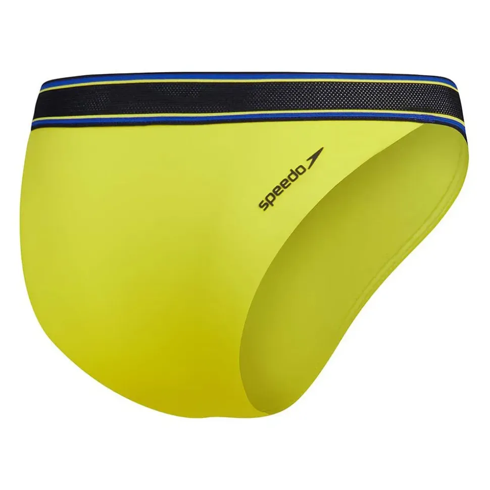 Speedo Braguita del bikini Solid V Scoop