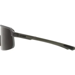 Uvex Gafas de sol dyrt
