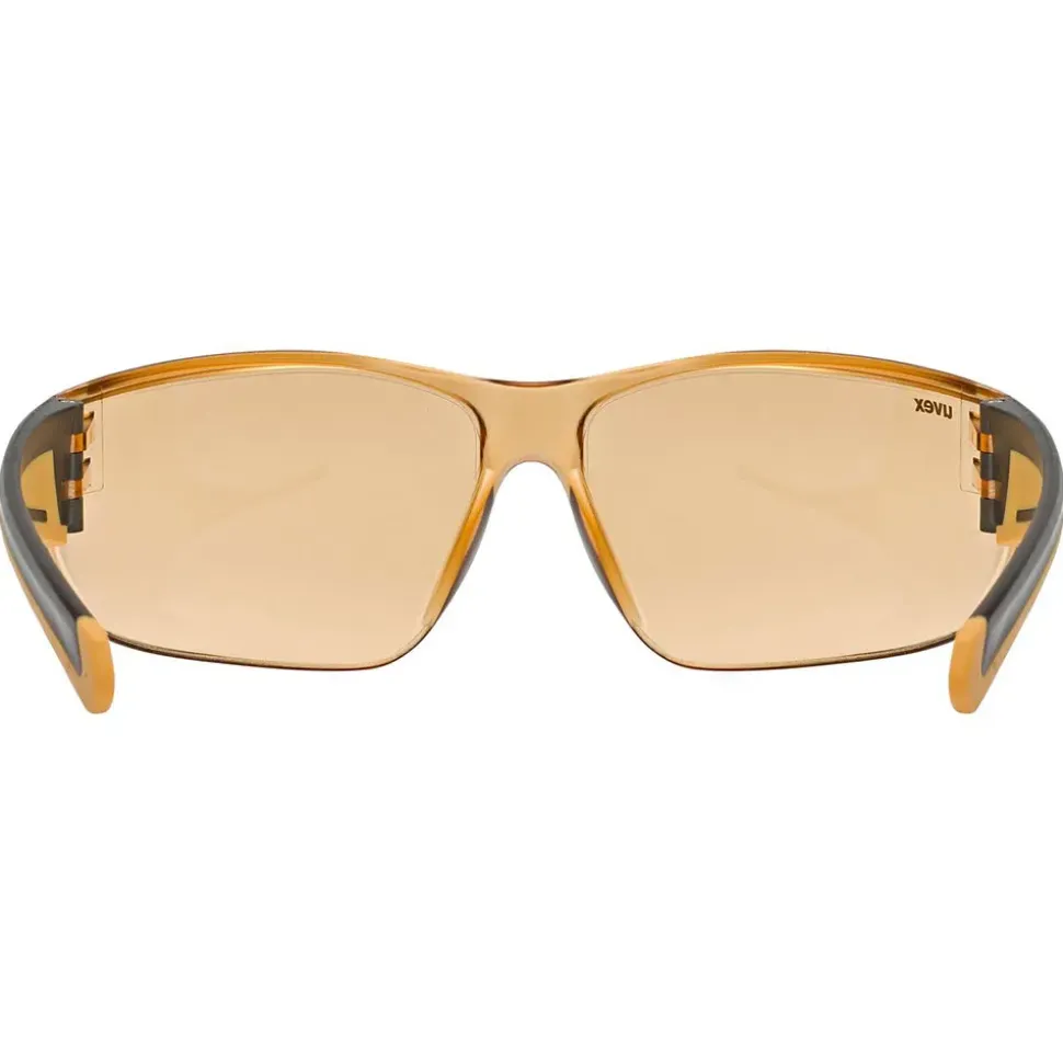Uvex Gafas de sol Equate