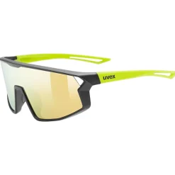 Uvex Gafas de sol Skyryse