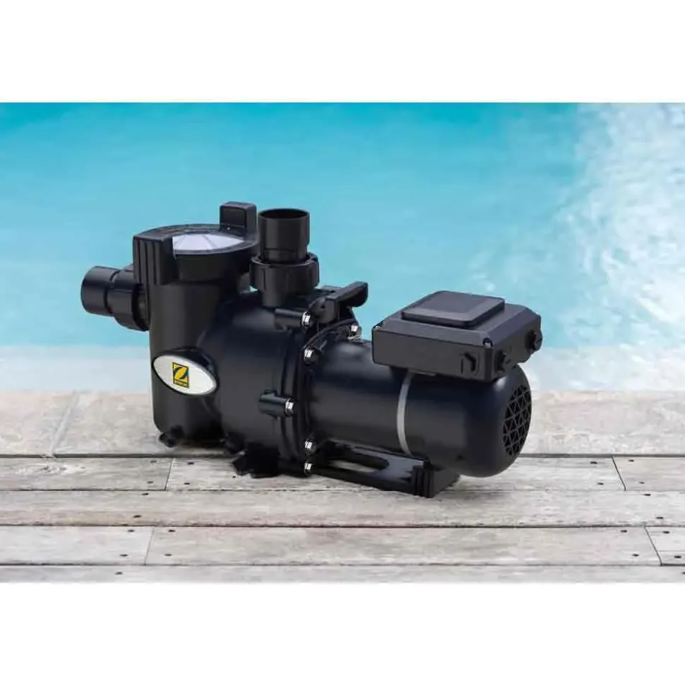 Zodiac Bomba de velocidad variable E30iQ 100